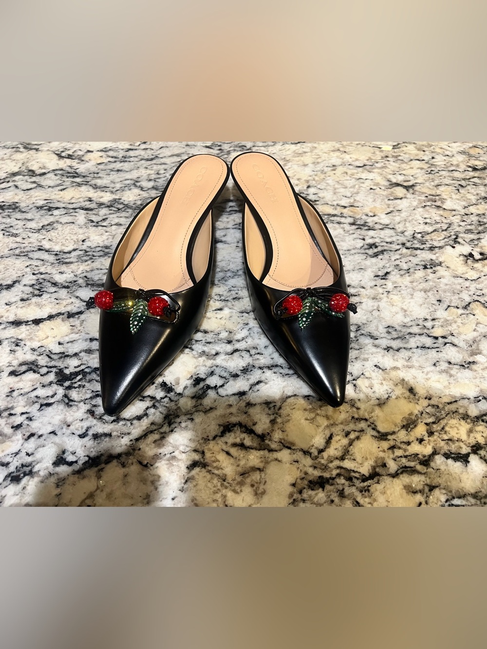 Coach Black Pointed-Toe Leather Mules with Red Cherry Embellishments